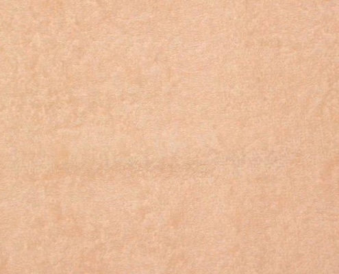 apricot1